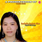 Ramesh Raj Bhattarai Songs MP3 Download
